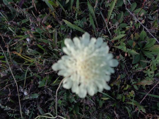 DSC00714_original